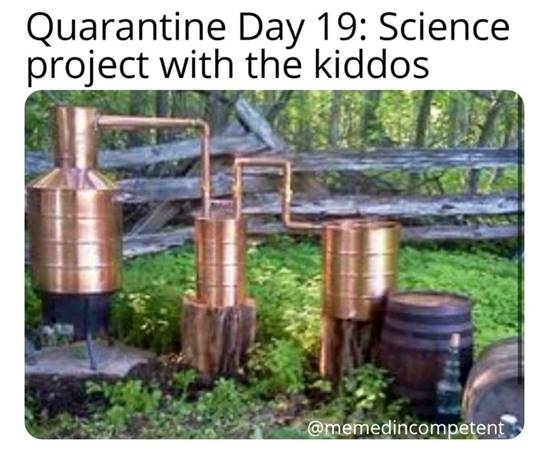 Image may contain: possible text that says 'Quarantine Day 19: Science project with the kiddos @memedincompetent'